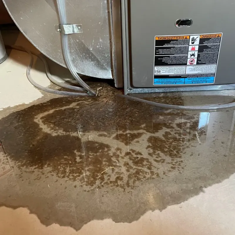 Pipe Burst and Leak Restoration in Bradford, TN