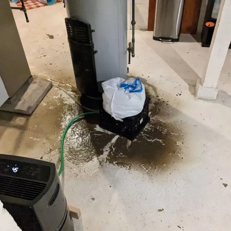 Sewage Backup Cleanup Service in Bradford, TN